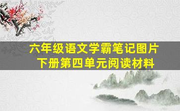 六年级语文学霸笔记图片 下册第四单元阅读材料